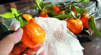 這種沙糖橘拿濕巾擦能掉色 青島人還能吃嗎 記者調查的結果是...